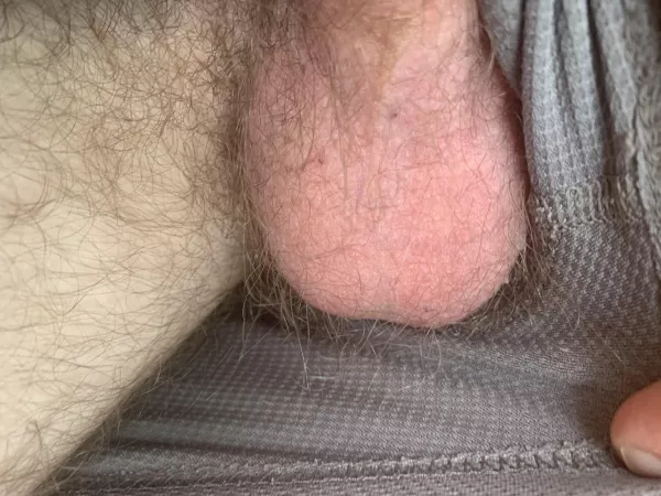 Testicle Tuesday! Testicle Tuesday!