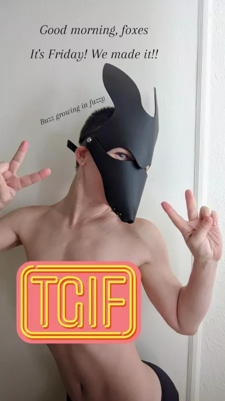 TGIF (can I nap now?) TGIF (can I nap now?)