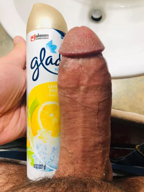 That Glade girth [37]
