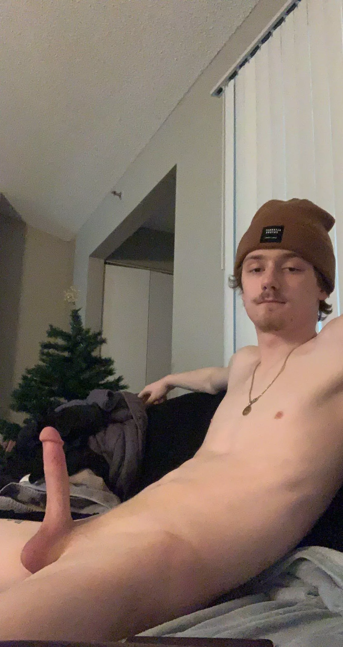 That last post made me realize I still have my Christmas tree up