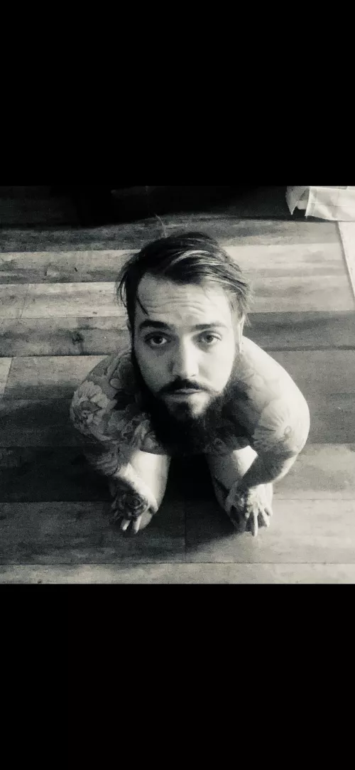 That moment of full compliance 🥺