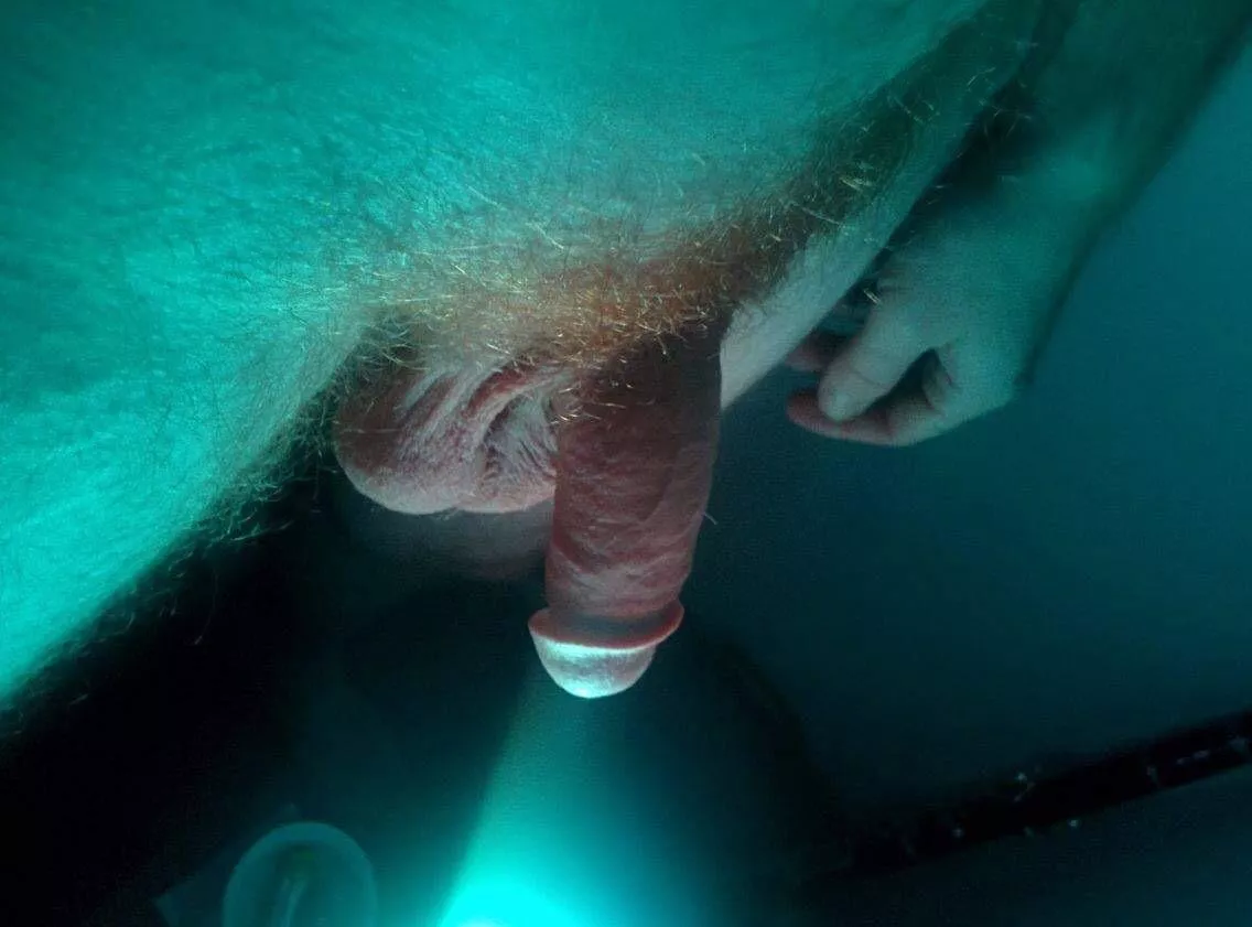 That pre-wank soft glow 🌿