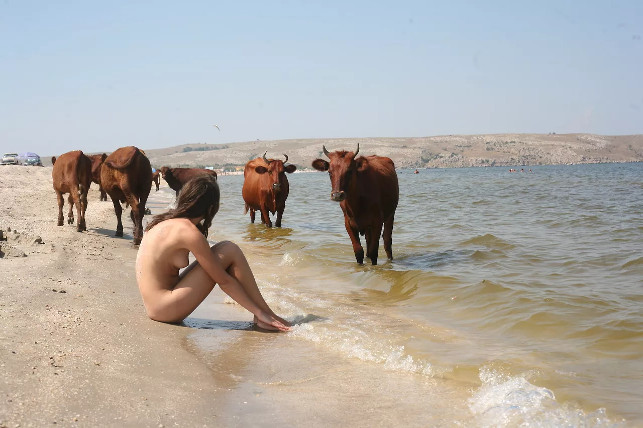 That's bull ! That's bull !