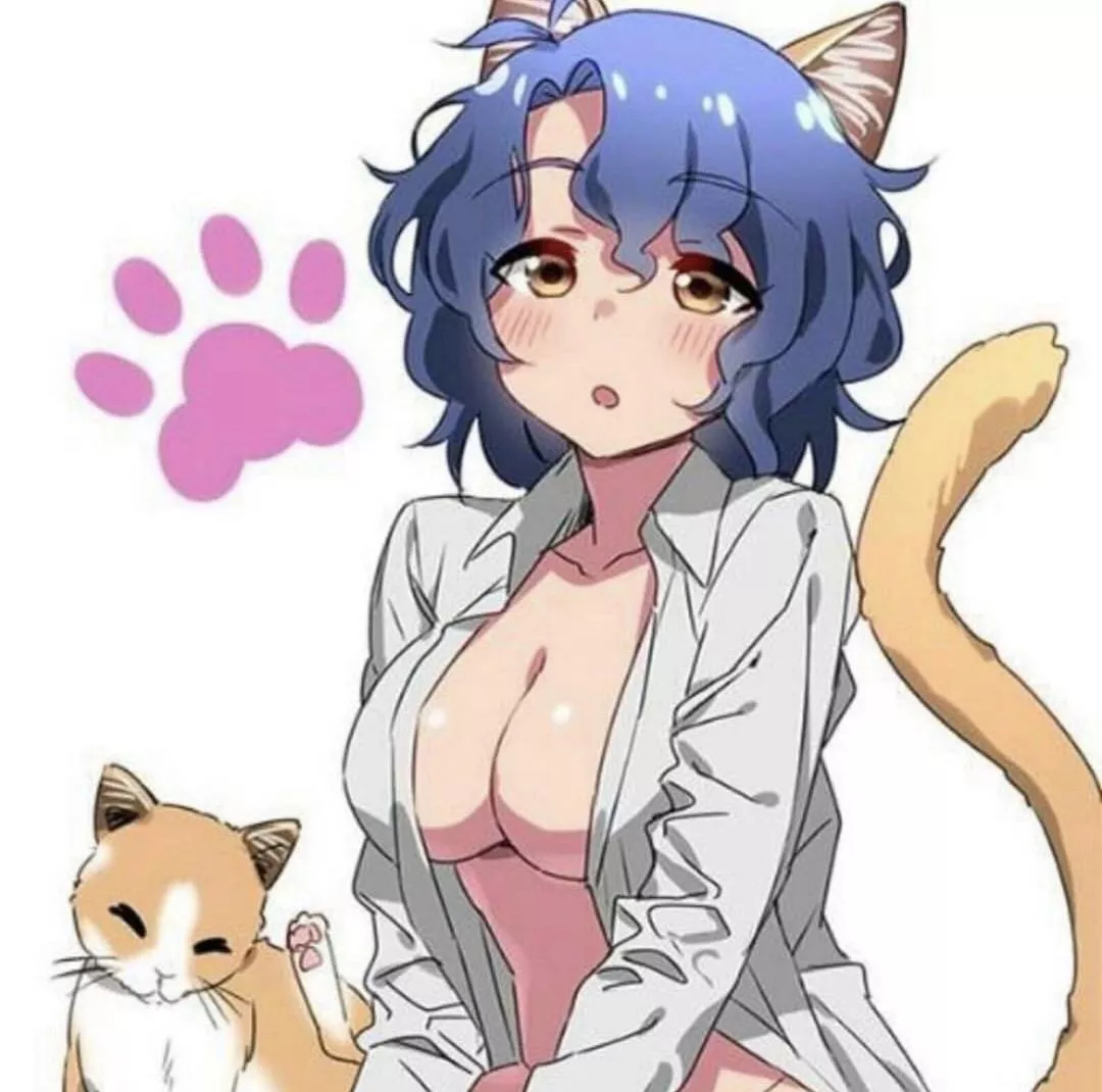 that's two cute kitties that's two cute kitties