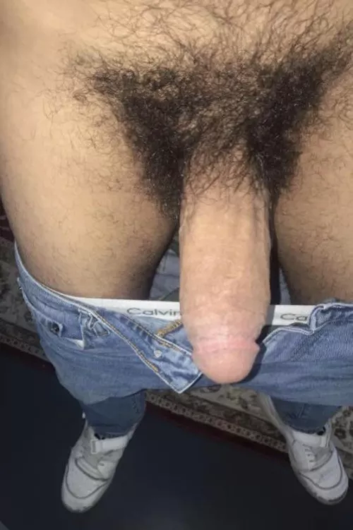 The 3 H's: Hungry | Horny | Hairy