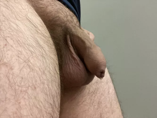 The 6:30 dick