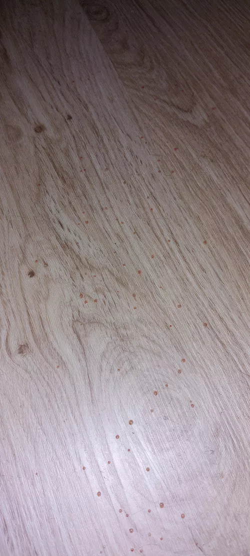 The aftermath of my belly squirter. Jeezus