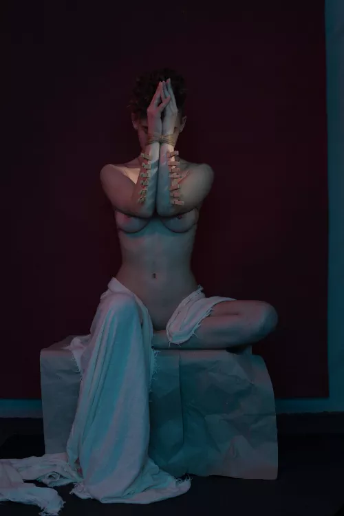 🧡the art of debauchery💛