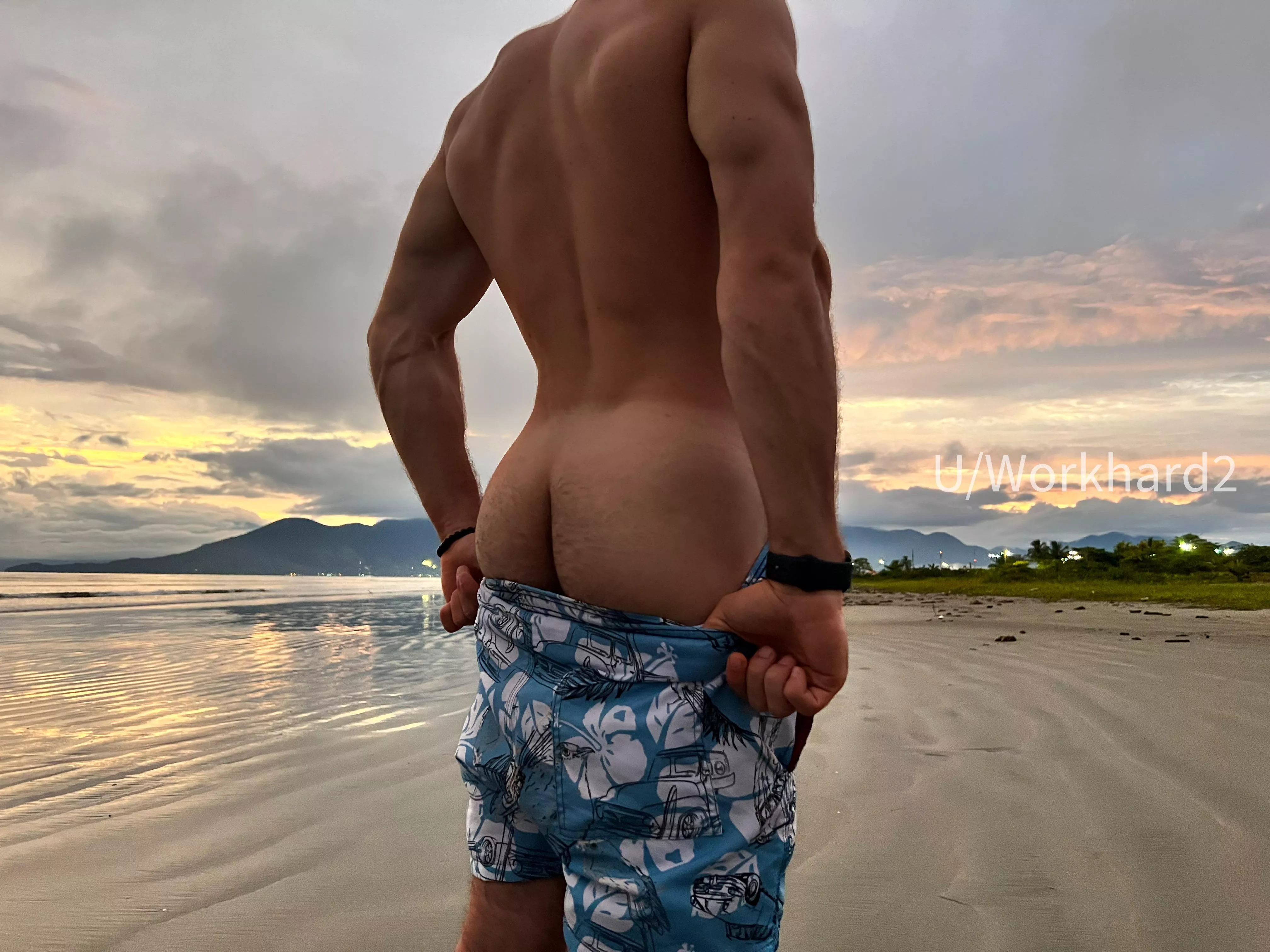 The AssSet!