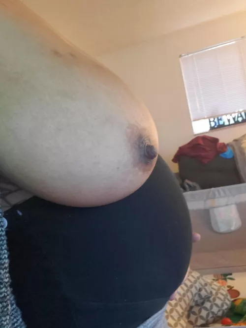 The belly The belly
