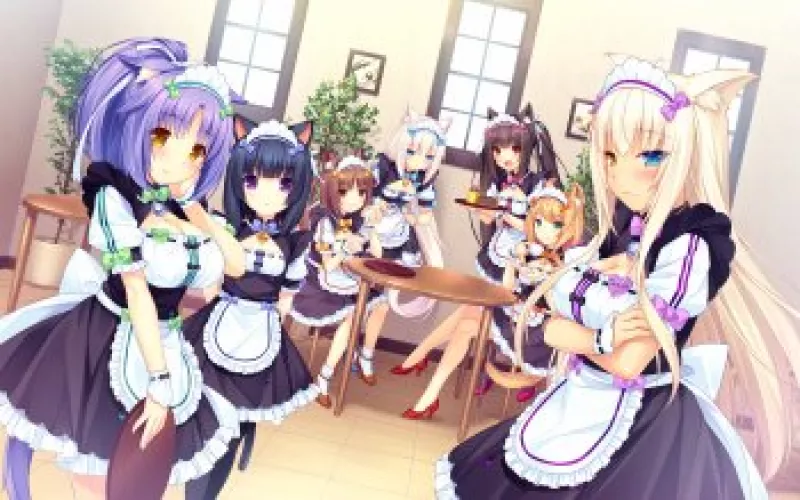 the best catgirls. prove me wrong 🥰😍 the best catgirls. prove me wrong 🥰😍