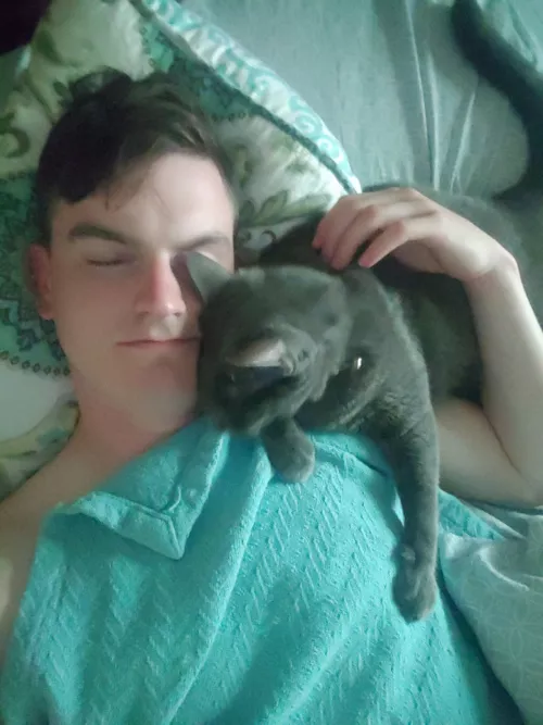 The best cuddle buddy