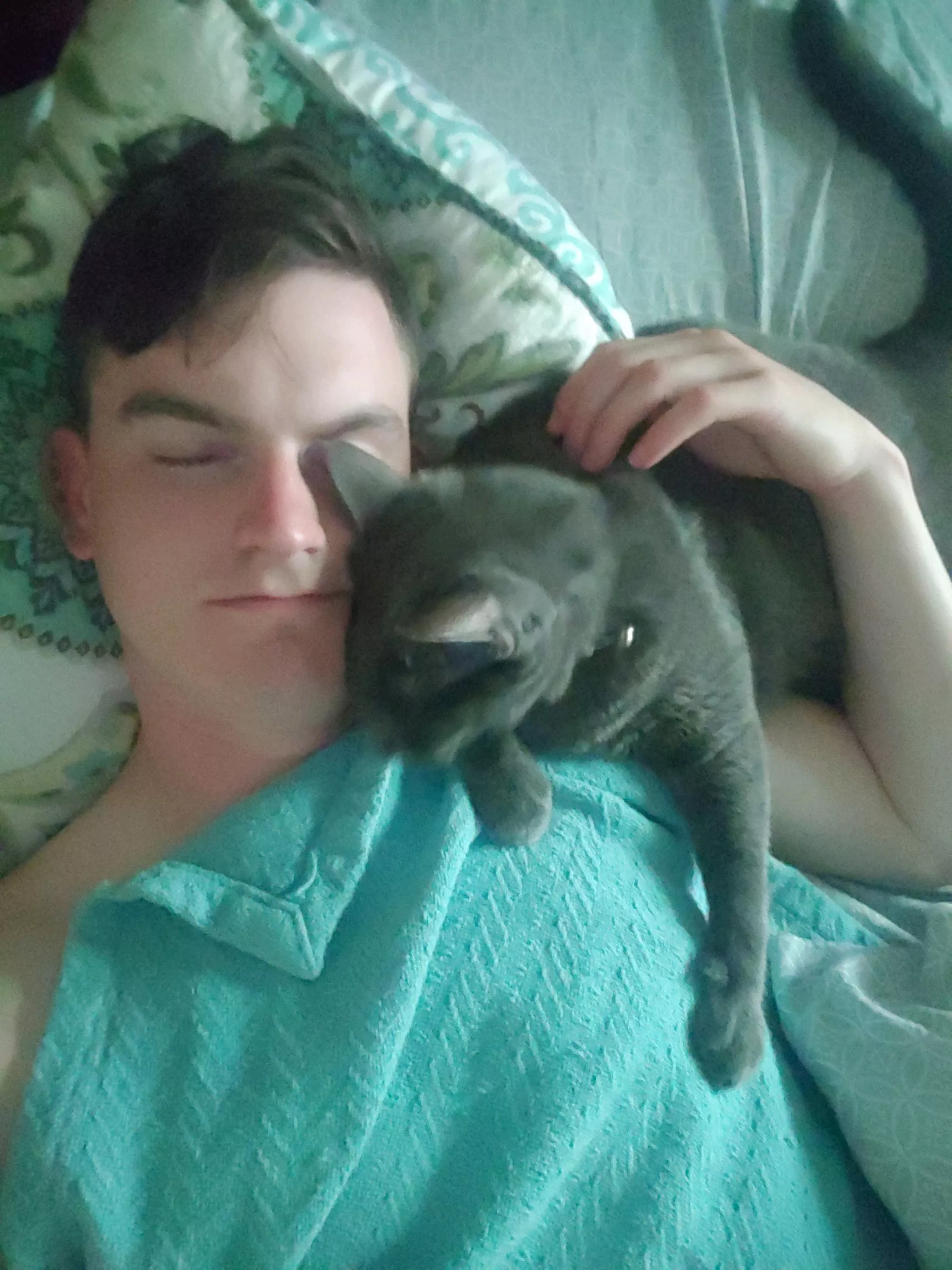 The best cuddle buddy