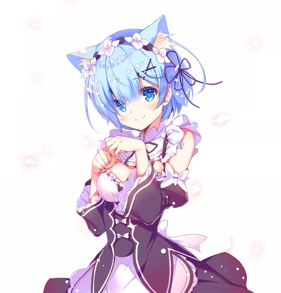 The best girl from Re:Zero The best girl from Re:Zero