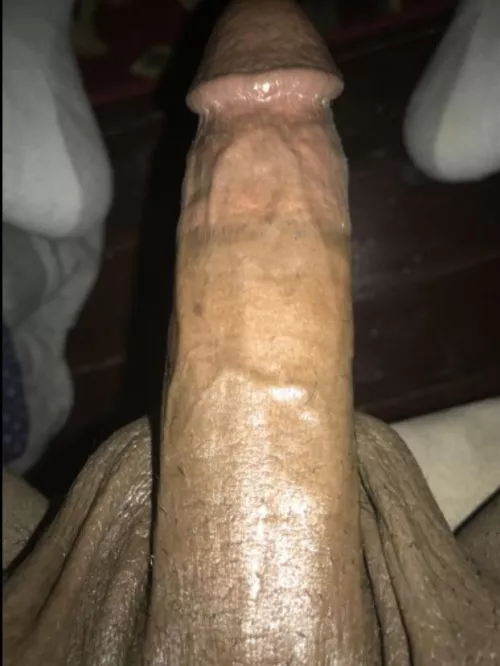 The Best Part of Waking up.. Is Dick up in your guts..????.. Can I fill you up now Queen? ? For Hotwife. Aston, PA.