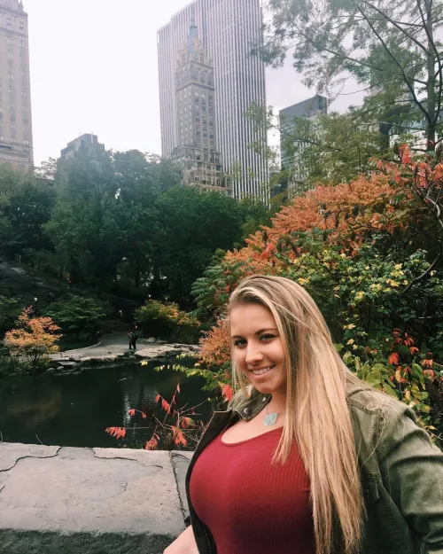 The Big Apple(s) The Big Apple(s)