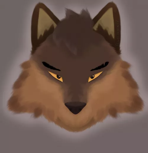 The big bad wolf🐺