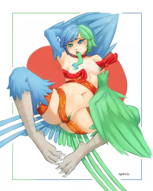The birb