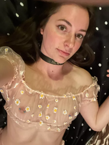 The collar doesn't lie The collar doesn't lie