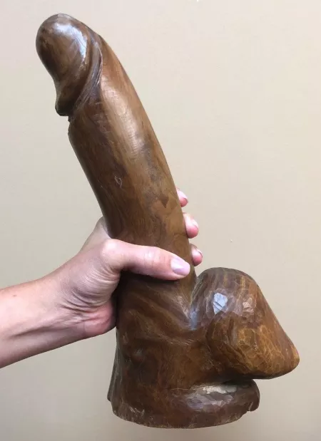 The dildo for the adventurous bottom The dildo for the adventurous bottom