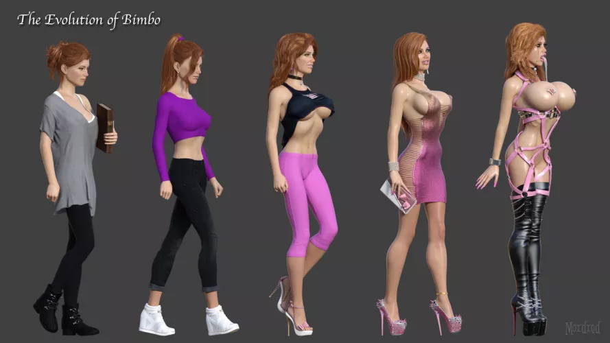 The Evoultion of Bimbo