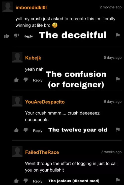 The four types of pornhub commenters