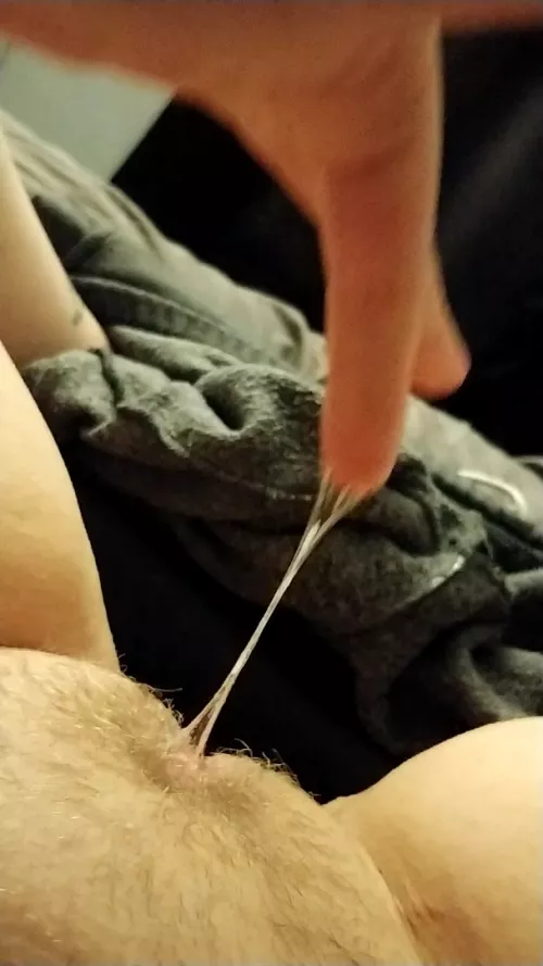 🍯The Honey Pot🍯