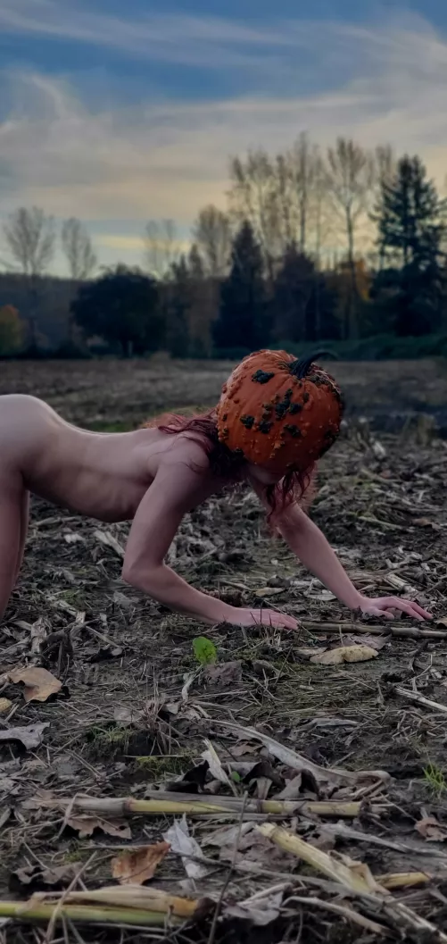 The last pumpkin in the patch🎃😈 The last pumpkin in the patch🎃😈