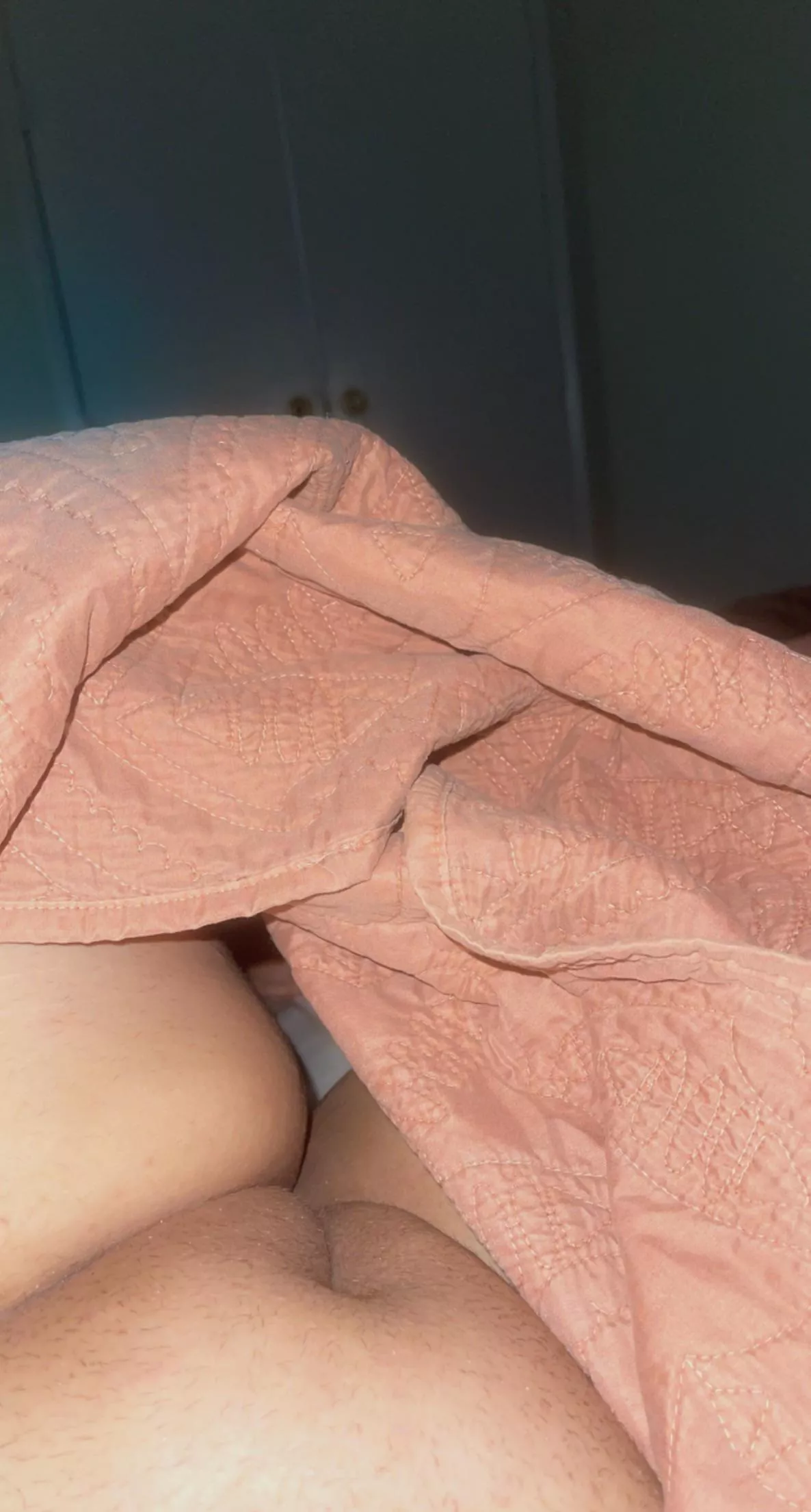 the maintenance guy is in the other room… should i use a toy while he’s here?