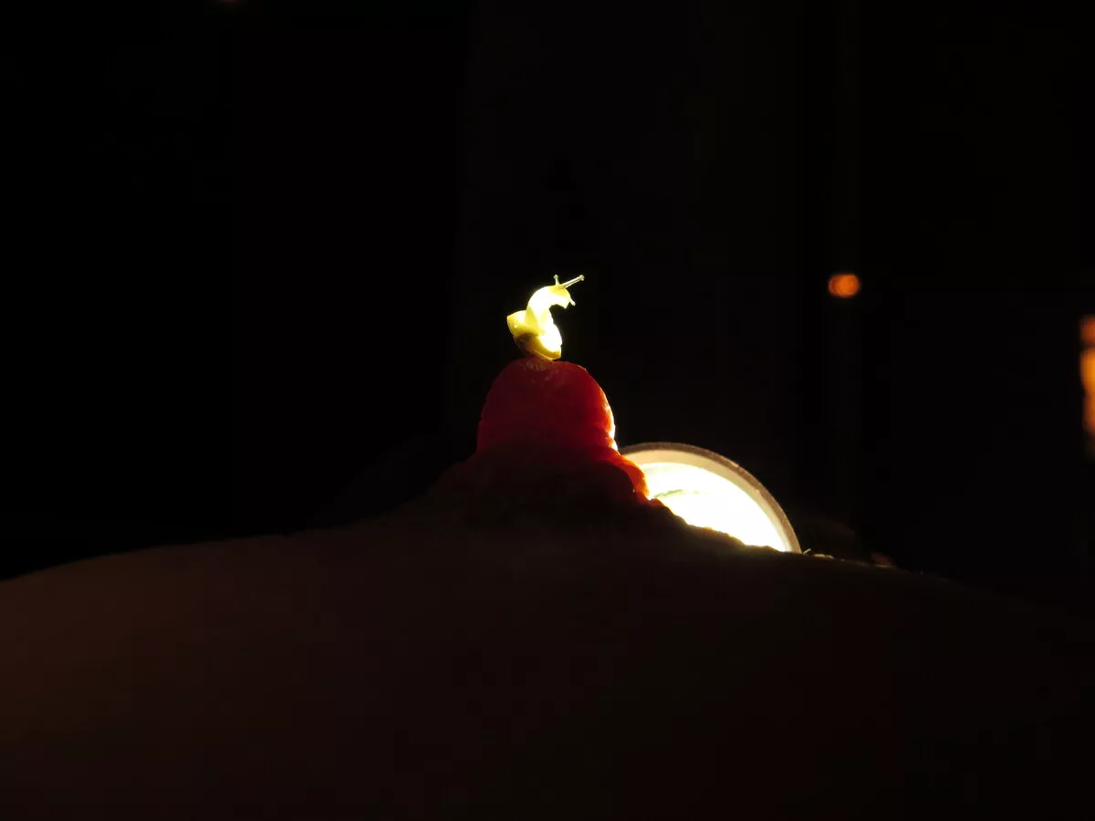 The most delicate touch. The most delicate touch.