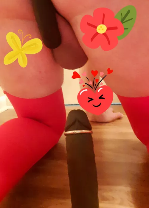 The new Daddy I took the plunge with is coming back. Must prepare to keep him happy