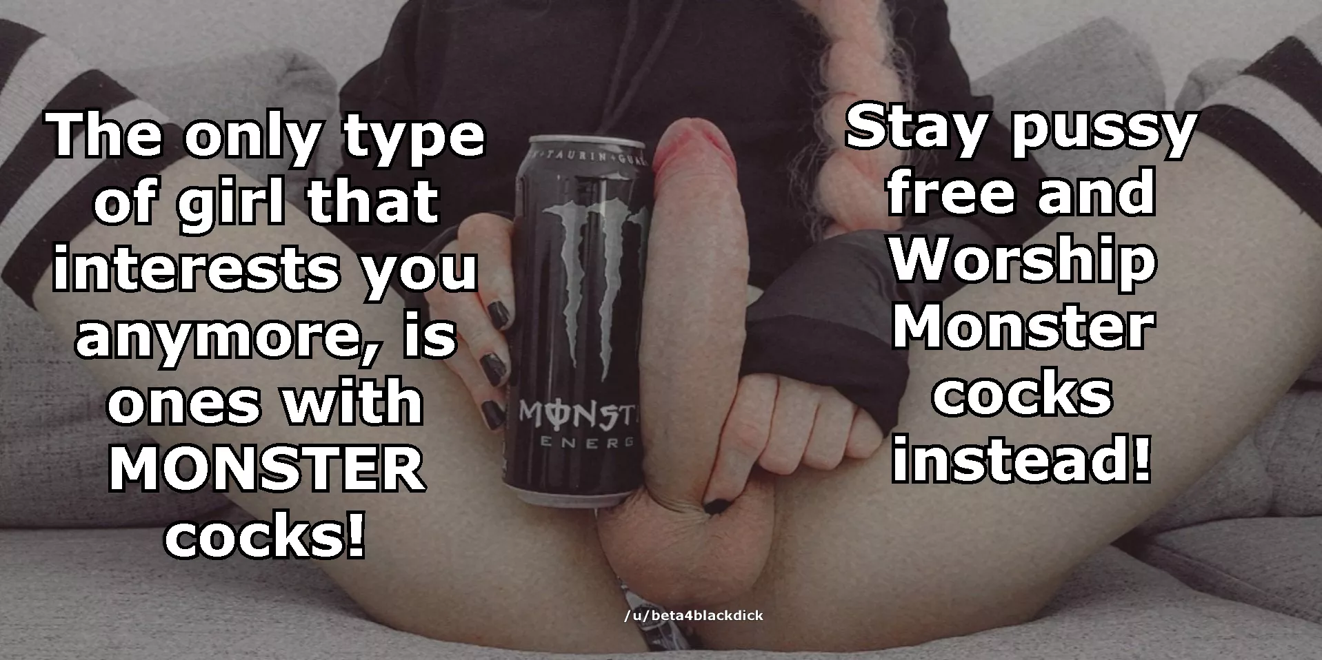 The only type of girl that interests you anymore..