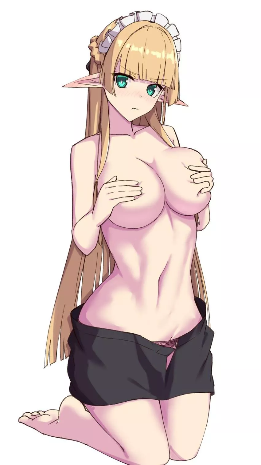 The perfect elf The perfect elf