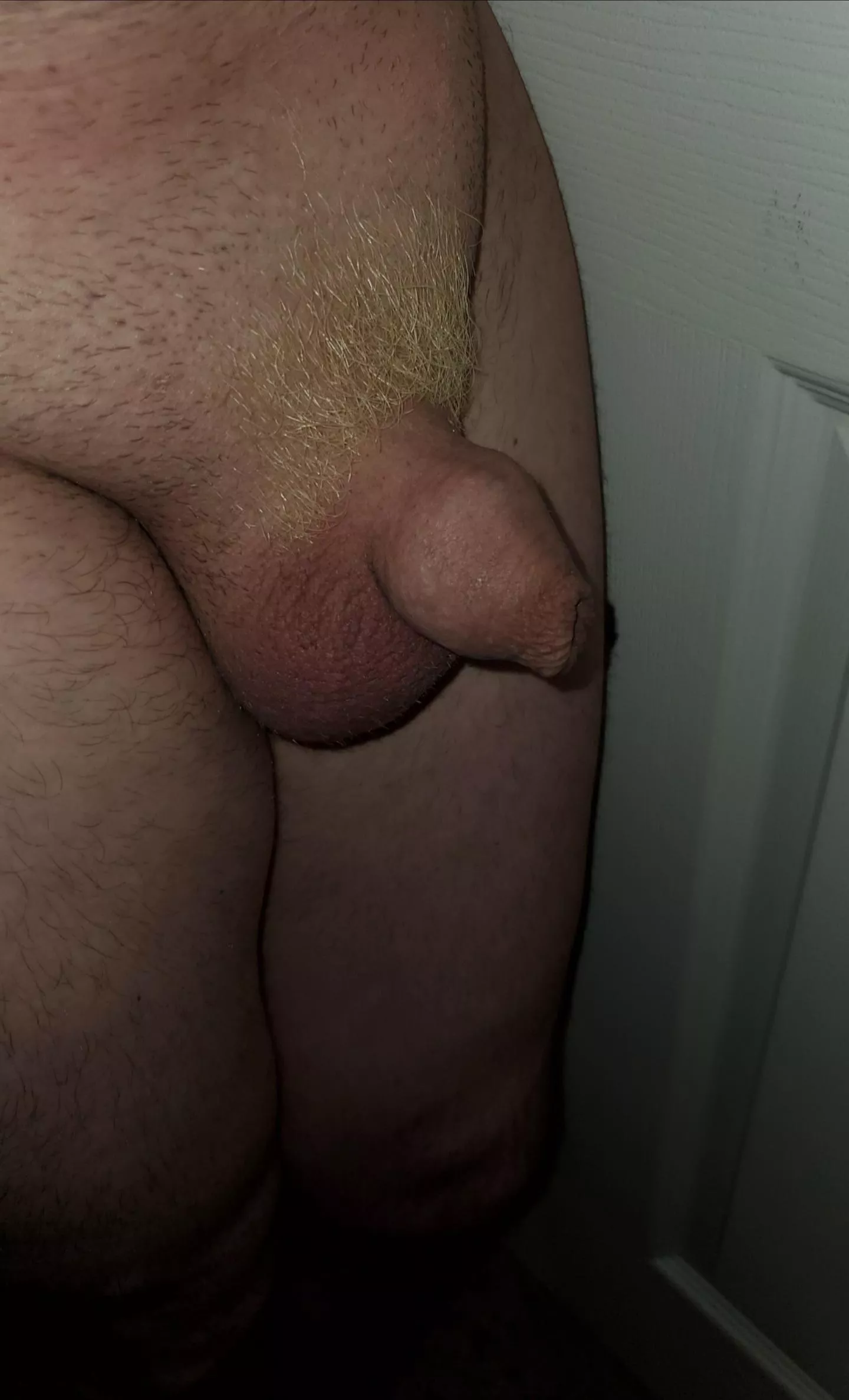 The perfect pic of my little dick when my pubic hair was blonde