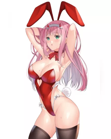 The real bunny The real bunny