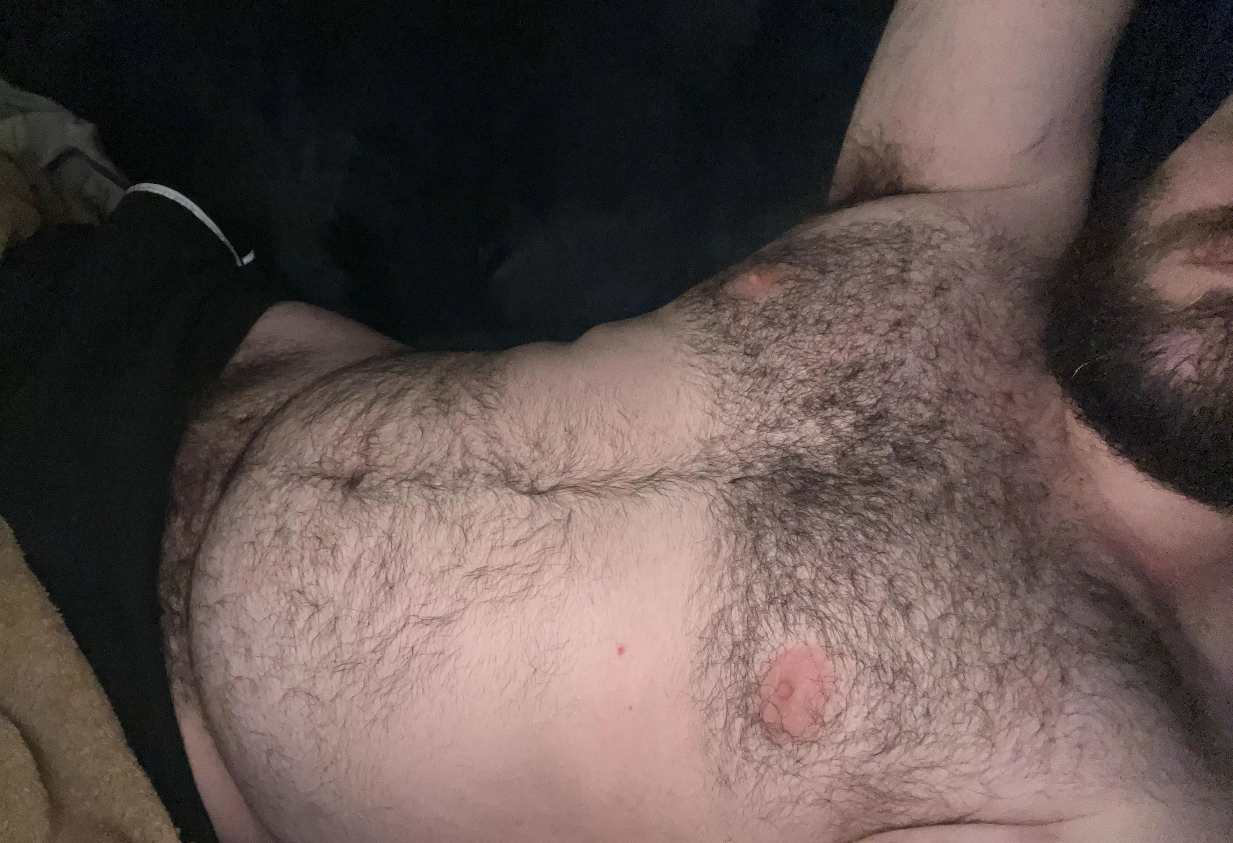 The real forest is just a little lower ;)