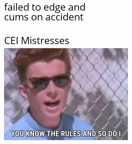 The rules