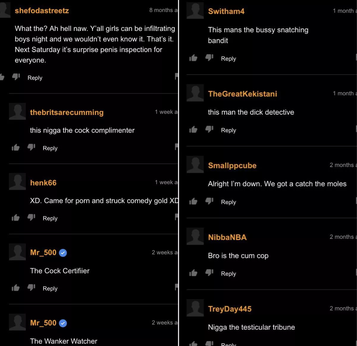 the scrotum scrutinizer