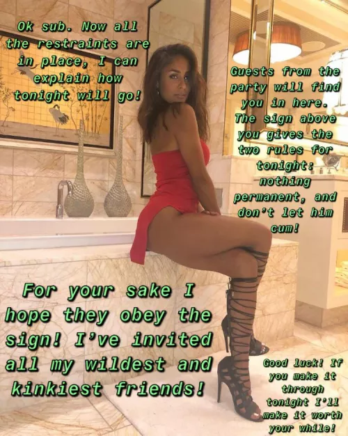 The tease toy for the party