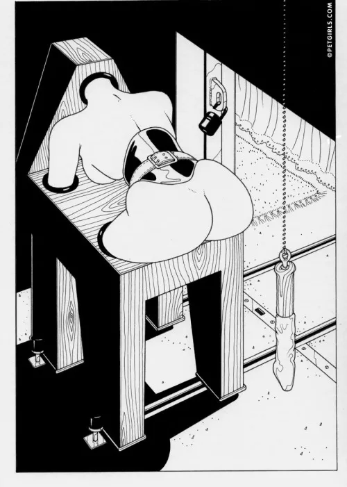 The wooden horse The wooden horse