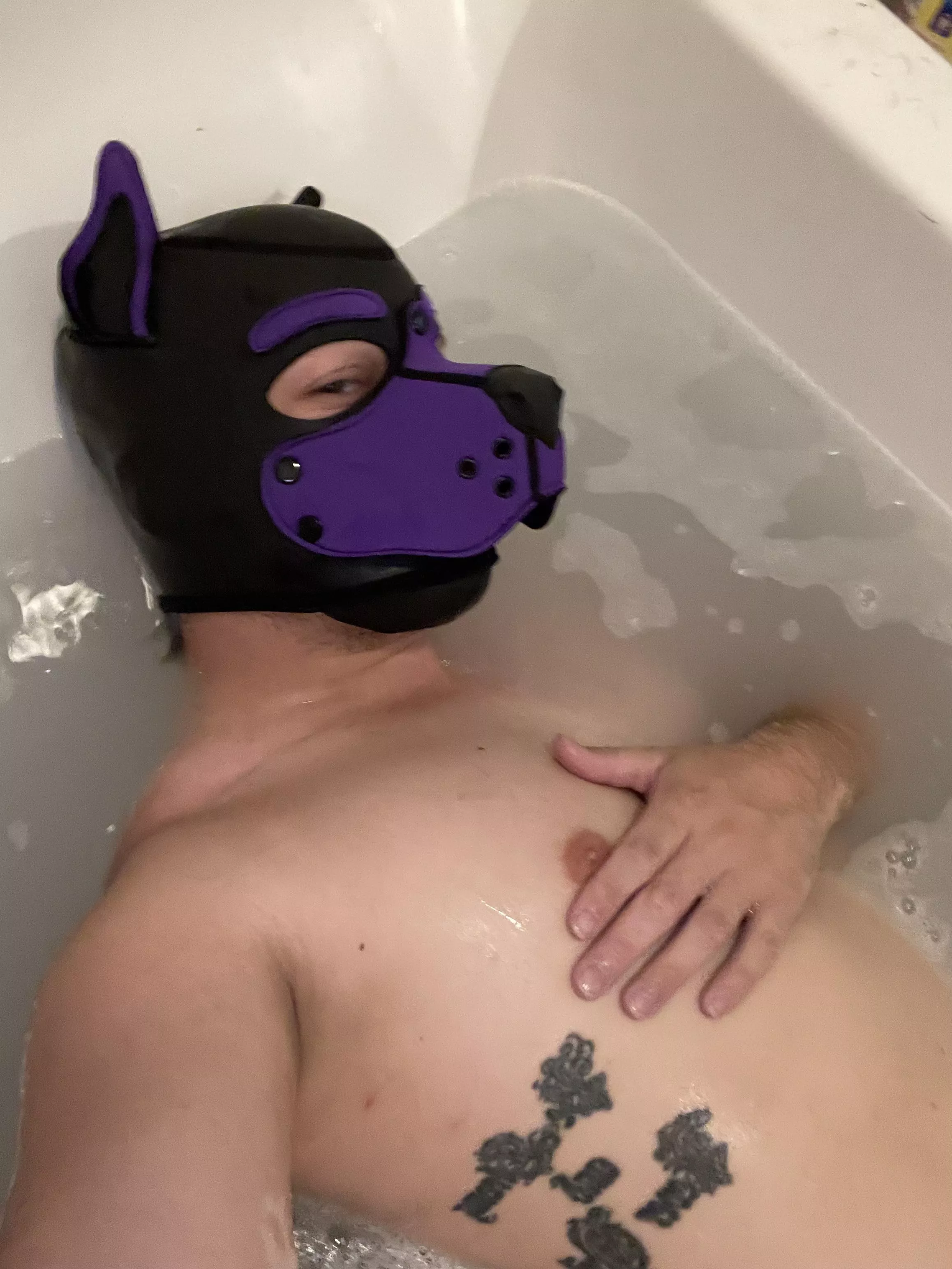 There is room for two in here… anyone wanna join this lonely pup? BRING MORE BUBBLES!!