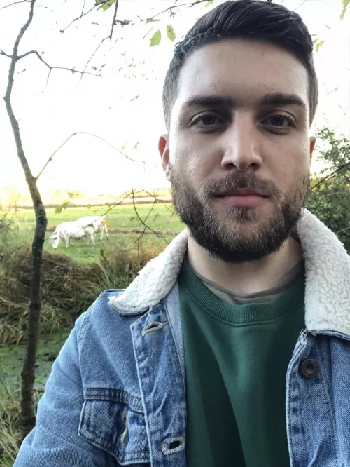 Theres a cow behind me Theres a cow behind me