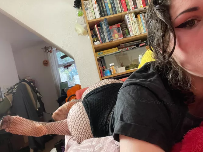 There’s space on my sofa for two 😉✌️