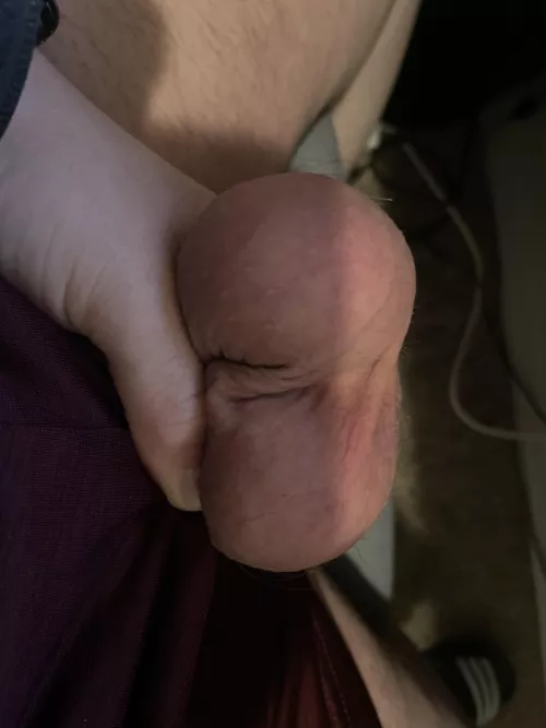 These are heavy, someone hold them with your mouth. These are heavy, someone hold them with your mouth.