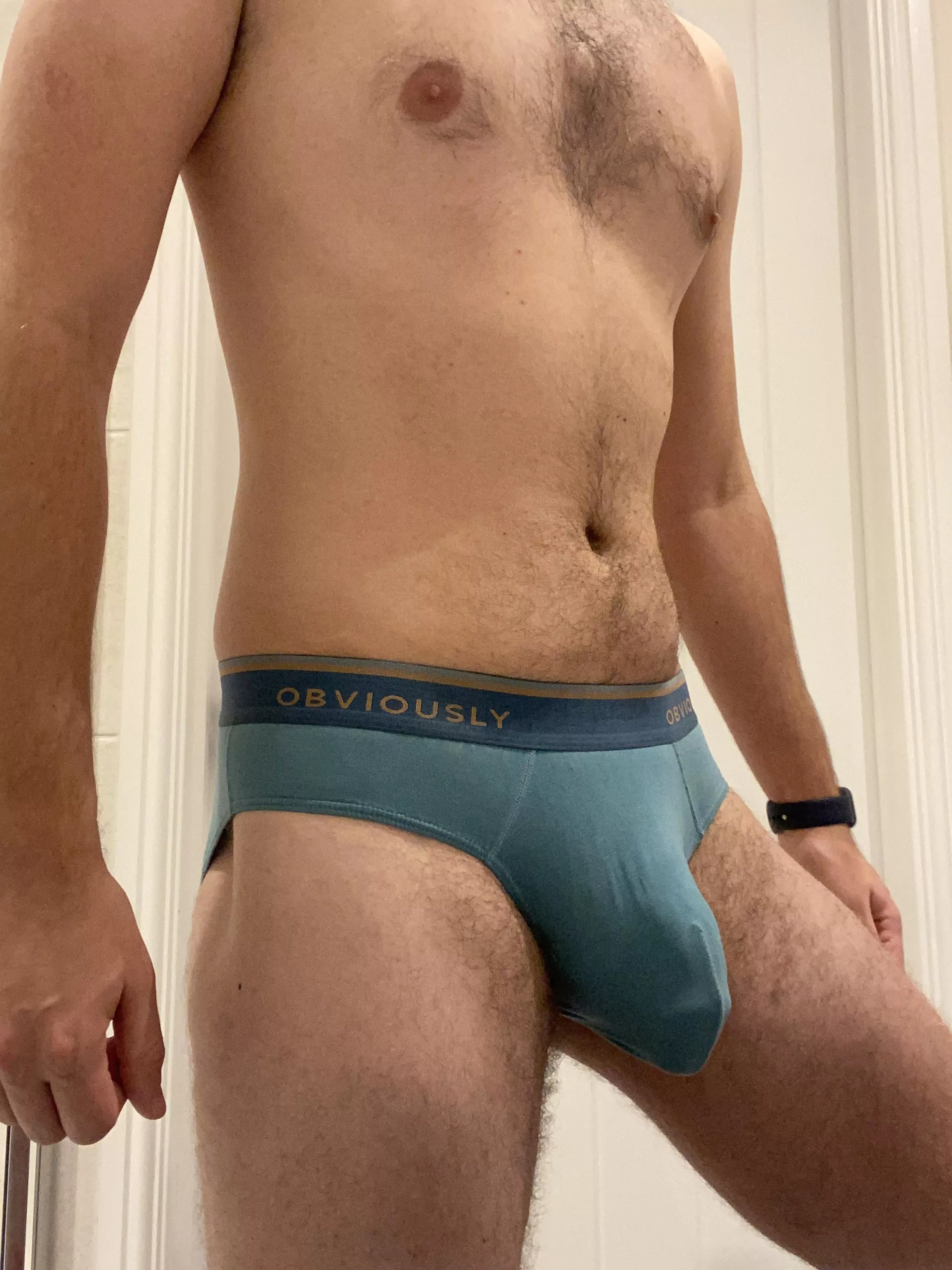 These briefs “obviously” fit well, right?
