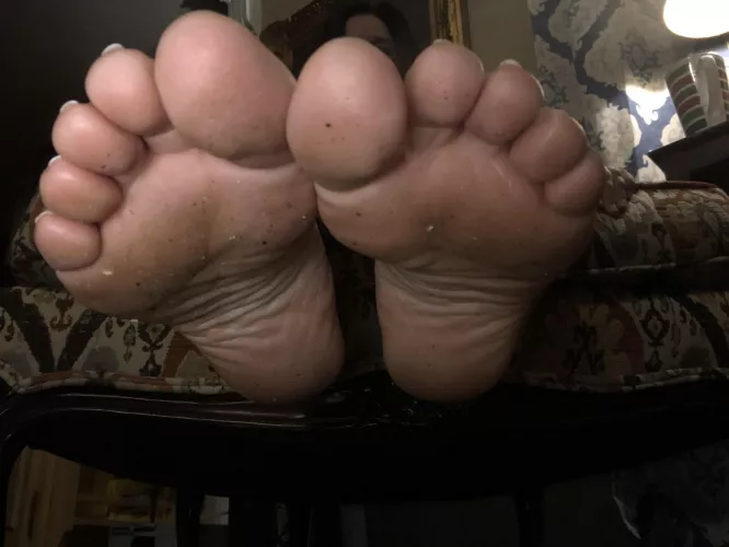 These poor soles seem to have picked up some filth from my wood floorβ¦ These poor soles seem to have picked up some filth from my wood floorβ¦