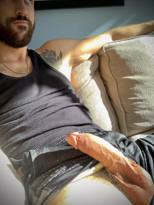 These shorts can’t contain my cock. Can you?