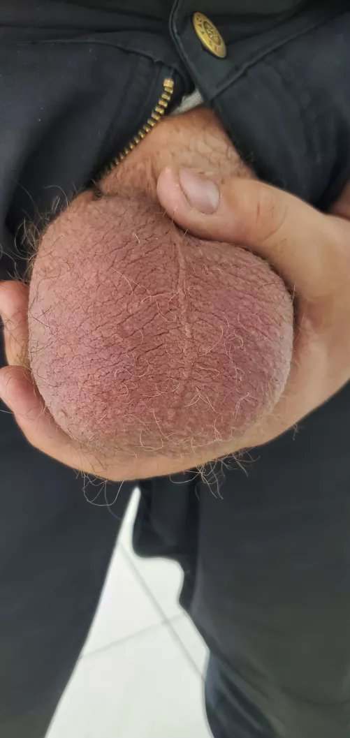 They are so fucking massive right now, they are going to fucking explode. They are so fucking massive right now, they are going to fucking explode.