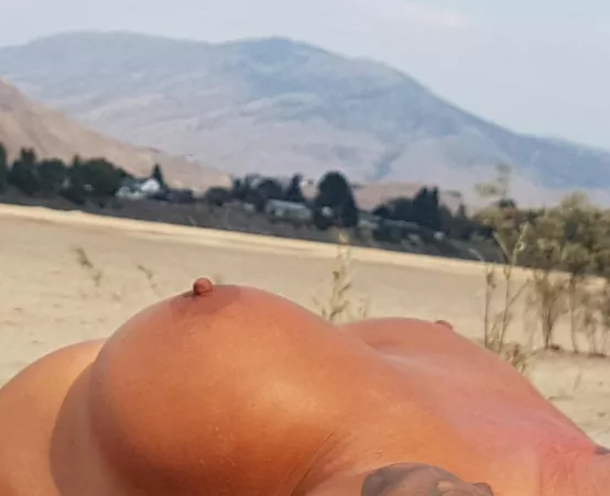 They just love the sun! They just love the sun!