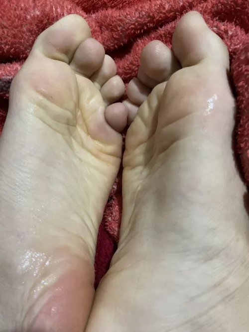 they oiled n ready to get nasty π come play with them π dms/pms r welcome they oiled n ready to get nasty π come play with them π dms/pms r welcome